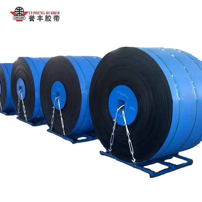 Acid နှင့် Alkali Resistant Conveyor Belt
